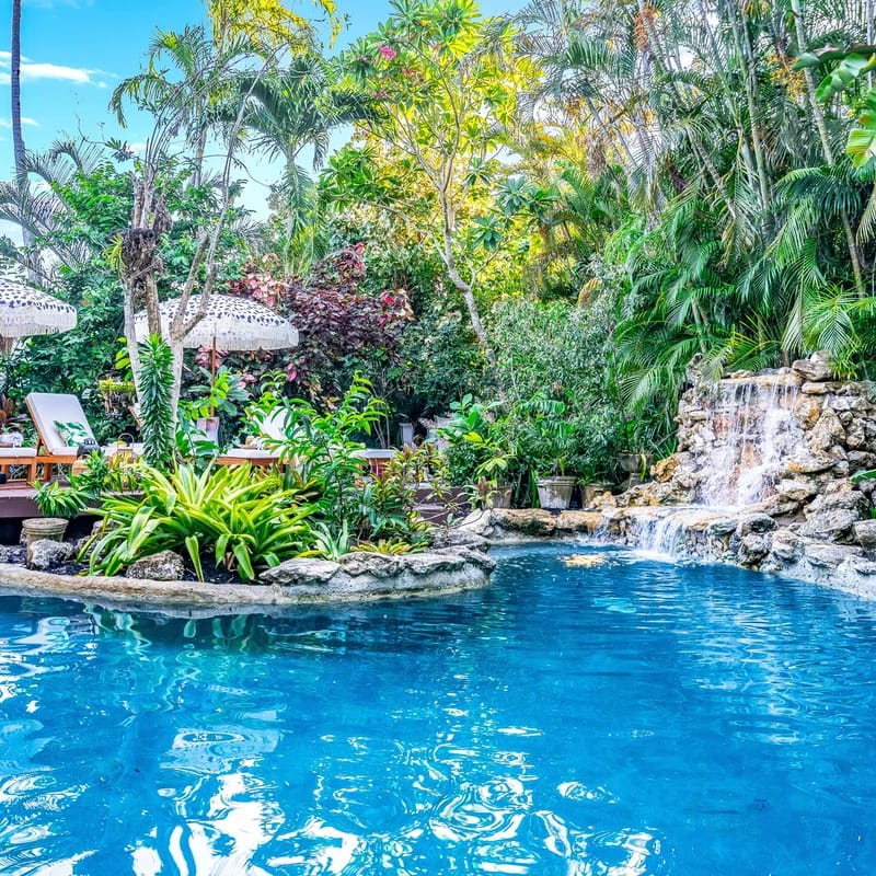 Evan's House